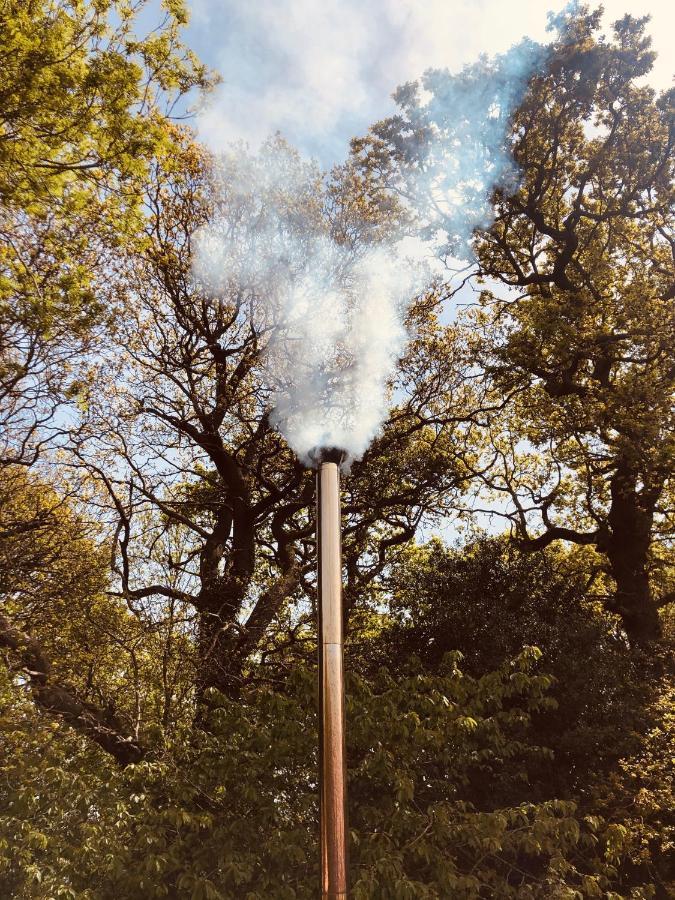 Somerleyton Meadows - The Hideaway Hut & Hot Tub Herringfleet 外观 照片
